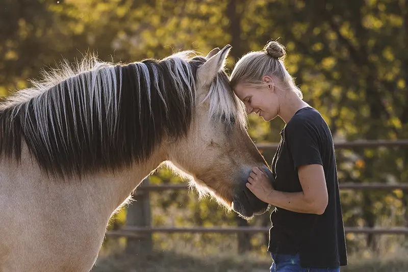 Mensch und Tier Fotografie Flensburg mit Pferd